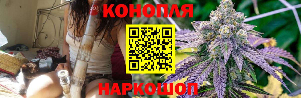 Конопля семена Моздок